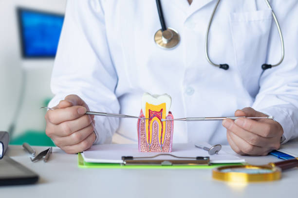 Best Emergency Root Canal Treatment in Glenn Dale, MD